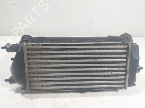 Intercooler FORD ECOSPORT  | BP16904052M30 