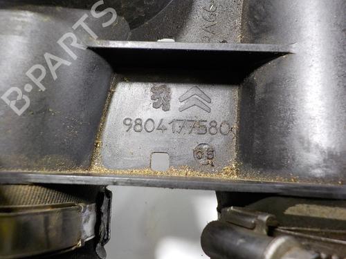  - Image 4