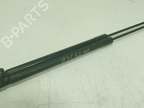 Gassdemper Bakluke FORD FIESTA VII (HJ, HF) 1.1 Ti-VCT | BP29638029C138 