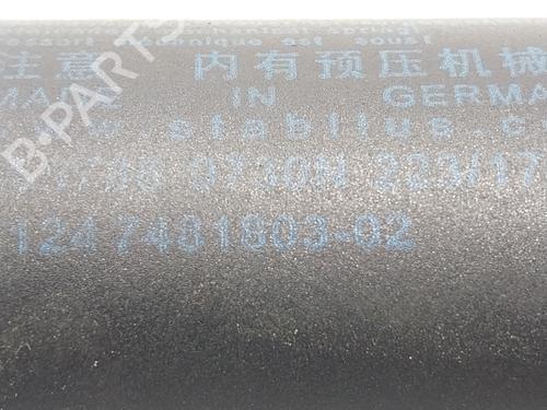 Tailgate lift support BMW X1 (F48) sDrive 18 d | BP19541509C138 