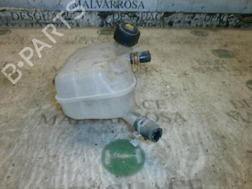 Expansion tank RENAULT GRAND SCÉNIC II (JM0/1_) 1.5 dCi (JM1E) | BP3756814C120 