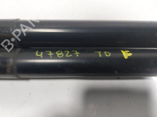 Tailgate lift support FORD TOURNEO COURIER B460 MPV 1.0 EcoBoost | BP16871117C138 