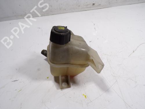 Expansion tank RENAULT KOLEOS I (HY_)  | BP9224966C120 