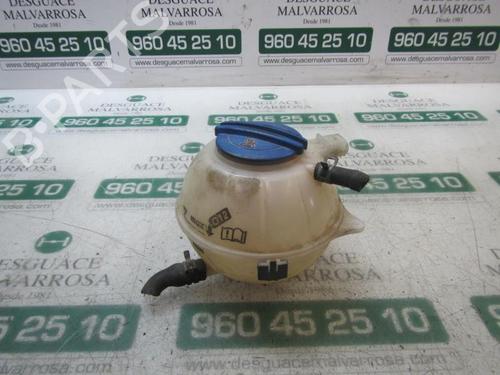Ekpansionstank Ekpansionstank SEAT IBIZA III (6L1) 1.9 TDI (100 hp) 3872233 3872233