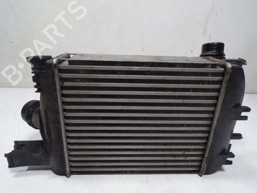 Intercooler DACIA LODGY (JS_) | BP27296783M30 - Image 2