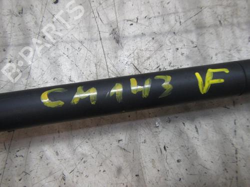 Tailgate lift support FORD FIESTA V (JH_, JD_) 1.4 TDCi | BP14273484C138 