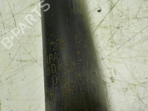 Dämpfer hinten links FORD FOCUS I (DAW, DBW) 1.8 TDCi | BP7911824M18 