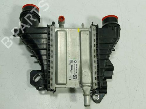 Intercooler RENAULT KADJAR (HA_, HL_) 1.5 BLUE dCi 115 (HLA6) | BP39698378M30 - Image 5