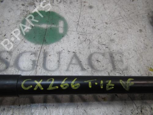Tailgate lift support BMW X5 (E53) 3.0 d | BP14277488C138 