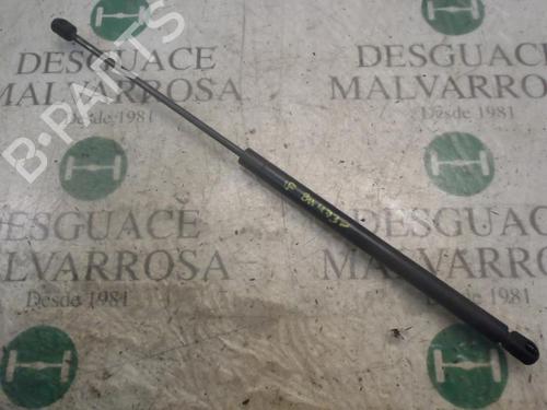 Used Hood lift support SEAT LEON (1M1) 1.9 TDI (110 hp) 14270144