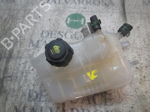 Used Expansion tank Expansion tank RENAULT MEGANE III Hatchback (BZ0/1_, B3_) 1.5 dCi (106 hp) 3835694 3835694