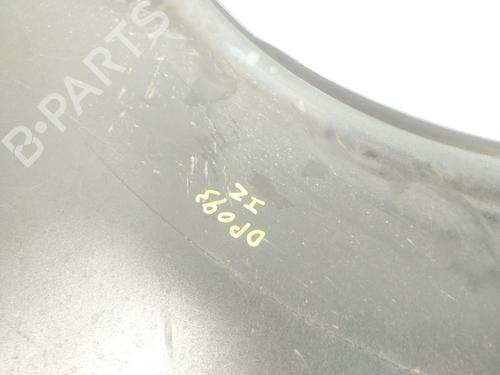 Left front fenders CITROËN C4 Picasso I MPV (UD_) 1.6 VTi 120 | BP20145792C41 