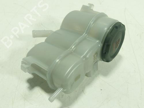 Vaso de expansão Vaso de expansão CUPRA LEON Sportstourer (KL8, KU8, KUD) 1.5 eTSI (150 hp) 30317955 30317955