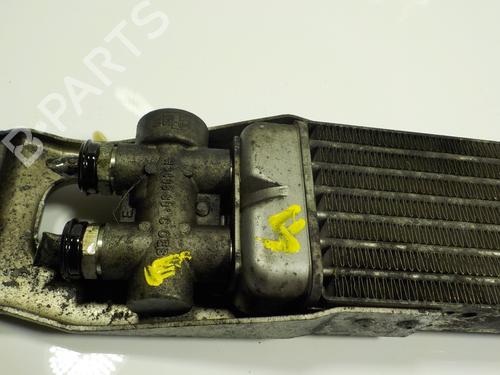 Oil radiator MERCEDES-BENZ M-CLASS (W164)  | BP9258009M33 