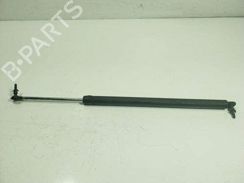 Used Tailgate lift support Tailgate lift support CHRYSLER VOYAGER / GRAND VOYAGER III (GS_, NS_) 2.5 TD (116 hp) 17210053 17210053