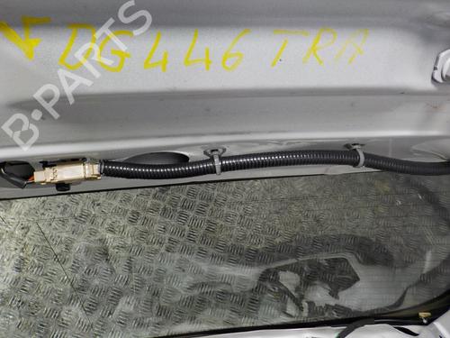 Tailgate RENAULT KOLEOS I (HY_)  | BP7064690C6 