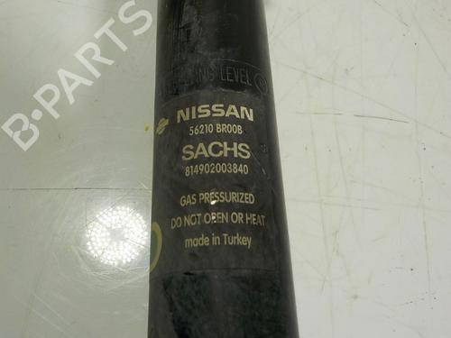 Left rear shock absorber NISSAN QASHQAI I (J10, NJ10) 1.5 dCi | BP13294659M18