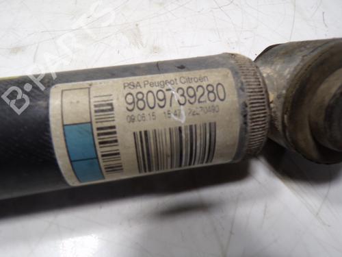 Right rear shock absorber CITROËN C4 CACTUS  | BP10557064M19 