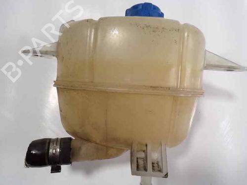 Expansion tank FIAT FIORINO Box Body/MPV (225_) 1.3 D Multijet | BP6570920C120 