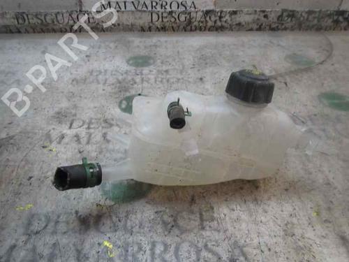 Expansion tank RENAULT MEGANE III Hatchback (BZ0/1_, B3_) 1.5 dCi (BZ0C) | BP3835984C120
