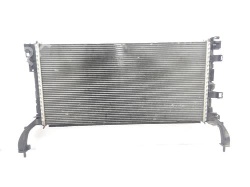 Used Water radiator RENAULT LAGUNA III (BT0/1) 1.5 dCi (BT00, BT0A, BT0T, BT1J) (110 hp) 17680095