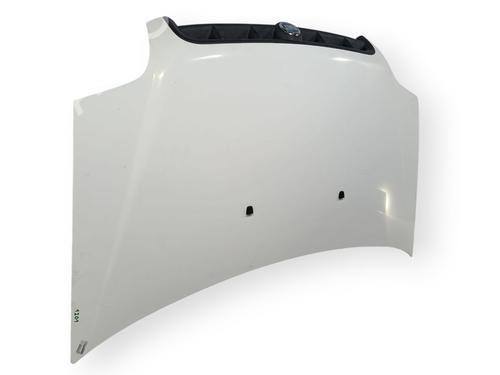 Hood FIAT DOBLO Box Body/MPV (223_)  | BP29357869C1 