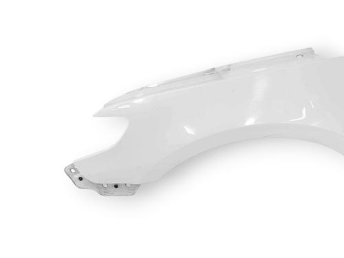 Right front fenders VW PASSAT CC B6 (357) 2.0 TDI | BP28593148C42 