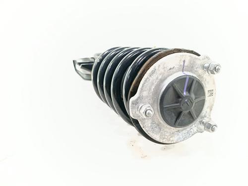 Left front shock absorber TESLA MODEL Y (5YJY)  | BP29530637M16 