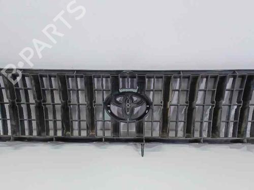 Grill/Gitter TOYOTA LAND CRUISER 90 (_J9_) [1995-2024]null 53100 | 53100 |