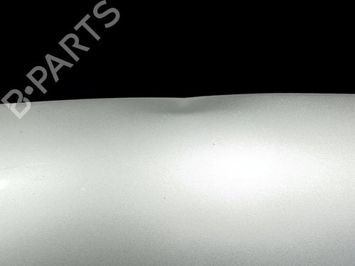Hood FORD FIESTA V (JH_, JD_)  | BP21116547C1 