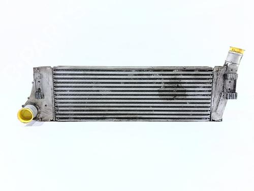 Ladeluftkühler für RENAULT MEGANE II (BM0/1_, CM0/1_) [2001-2012]  29546399