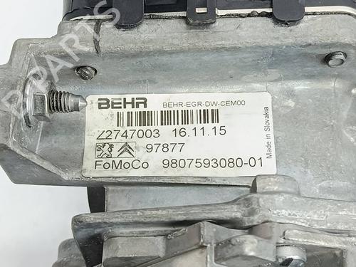 Egr FORD KUGA II (DM2) | BP36525668M69 - Image 6