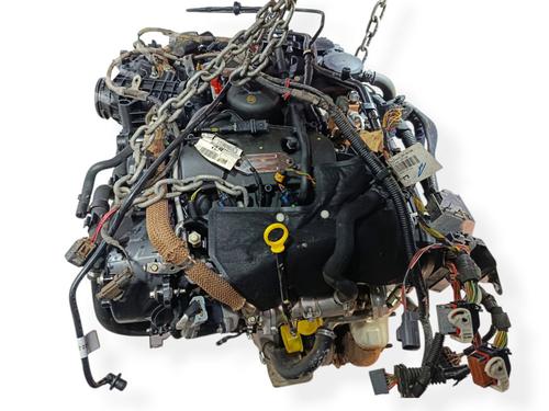 Engine LAND ROVER DISCOVERY III (L319)  | BP36905032M1  - Image 6