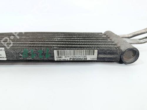 Oil radiator LAND ROVER RANGE ROVER SPORT I (L320)  | BP29549525M33 