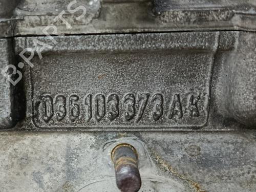  - Image 5