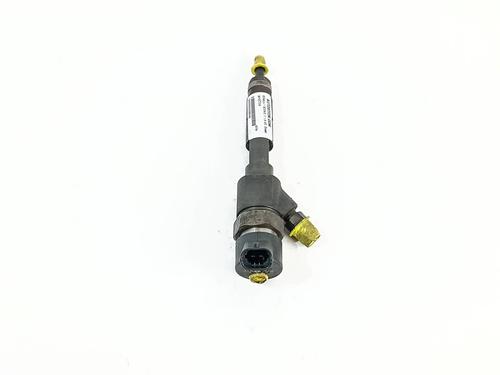 Injector RENAULT SCÉNIC II (JM0/1_)  | BP29391038M100 