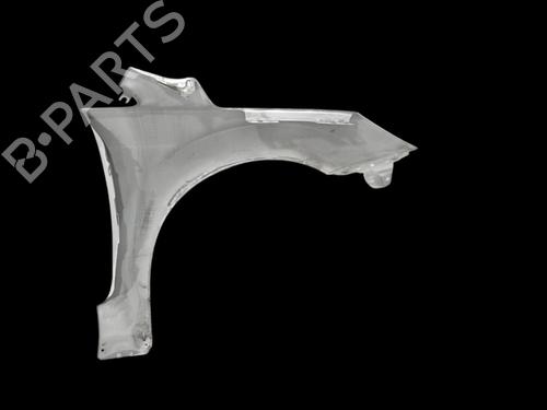 Left front fenders FORD FOCUS II (DA_, HCP, DP)  | BP24360815C41 