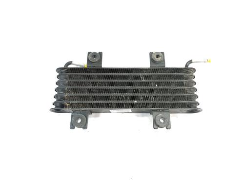 Oil radiator NISSAN JUKE (F15) | BP30196129M33