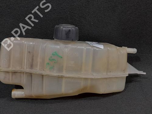 Used Expansion tank RENAULT CLIO III (BR0/1, CR0/1) [2005-2014]  15865322