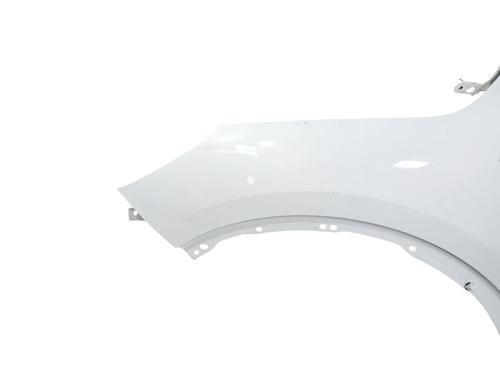 Left front fenders FORD KUGA III (DFK)  | BP29726731C41 