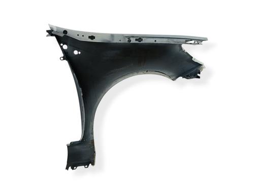 Left front fenders RENAULT CLIO III (BR0/1, CR0/1) 1.5 dCi | BP32160195C41