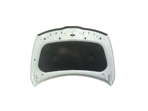 Hood KIA SPORTAGE V (NQ5) | BP32160109C1