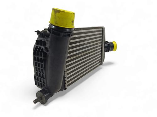 Intercooler NISSAN MICRA III (K12)  | BP16172444M30 