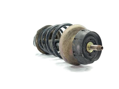 BP16974400M17 | Right front shock absorber RENAULT CLIO II (BB_, CB_) 1.2 16V (BB05, BB0W, BB11, BB27, BB2T, BB2U, BB2V, CB05,... BP16974400M17