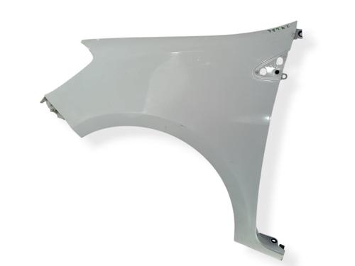 Used Left front fenders RENAULT CLIO III (BR0/1, CR0/1) 1.5 dCi (75 hp) 32160195