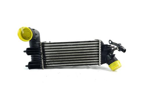 Used Intercooler PEUGEOT 406 (8B) [1995-2005]  16742691