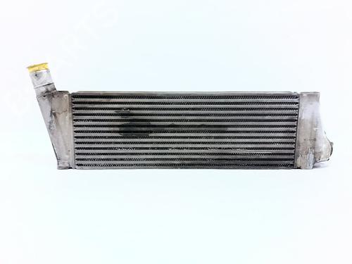Ladeluftkühler RENAULT MEGANE II (BM0/1_, CM0/1_)  | BP29546399M30 