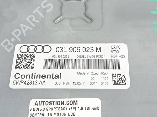 Engine control unit (ECU) AUDI A3 Sportback (8PA)  | BP36915612M57  - Image 5