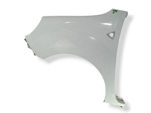 Used Left front fenders RENAULT KANGOO / GRAND KANGOO II (KW0/1_) 1.5 dCi 70 (KW0V, KW0A) (68 hp) 32098437