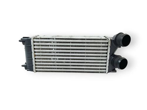 Used Intercooler PEUGEOT 5008 (0U_, 0E_) 1.6 HDi (114 hp) 30529221